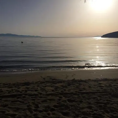Elia Sea